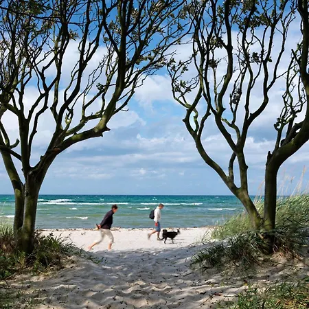 Haus Suedwester Seehase Appartement