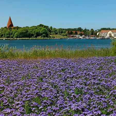 Apartment Haus Suedwester Seehase